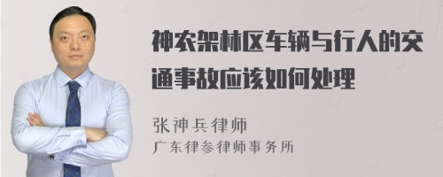 神农架林区车辆与行人的交通事故应该如何处理