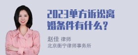 2023单方诉讼离婚条件有什么？