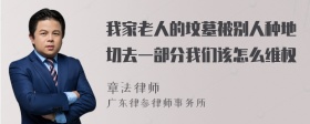 我家老人的坟墓被别人种地切去一部分我们该怎么维权