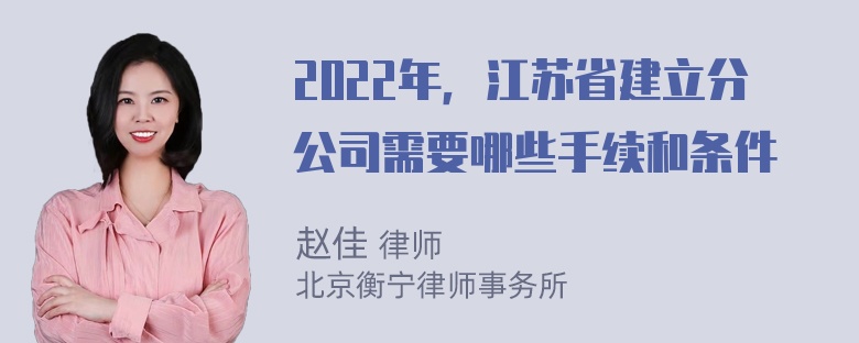 2022年，江苏省建立分公司需要哪些手续和条件