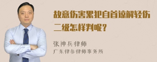 故意伤害累犯自首谅解轻伤二级怎样判呢？