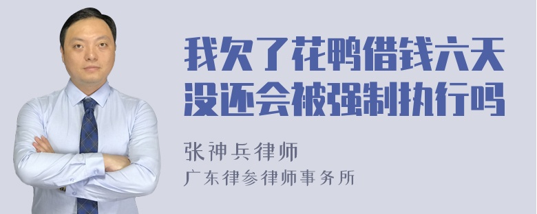 我欠了花鸭借钱六天没还会被强制执行吗