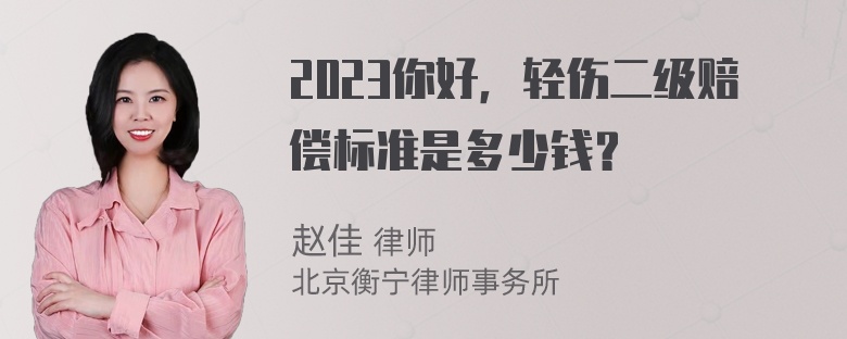 2023你好，轻伤二级赔偿标准是多少钱？