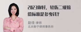 2023你好，轻伤二级赔偿标准是多少钱？