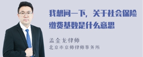 我想问一下，关于社会保险缴费基数是什么意思