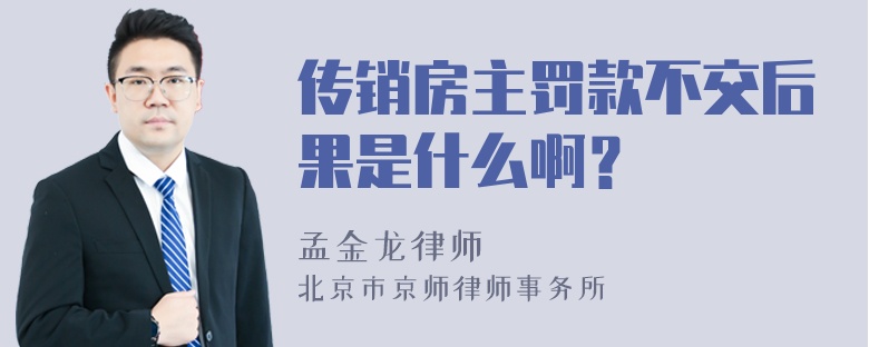 传销房主罚款不交后果是什么啊？