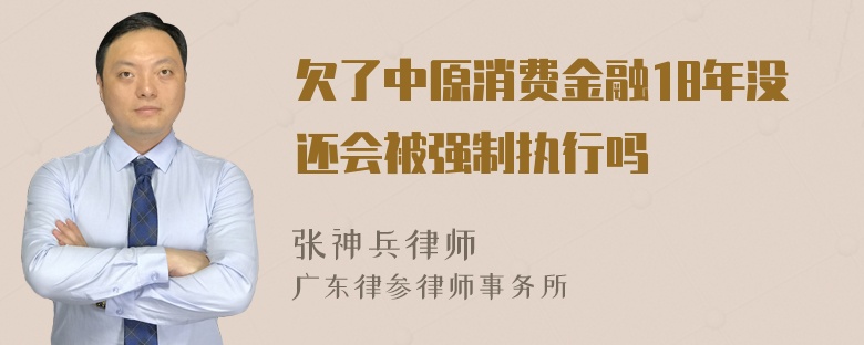 欠了中原消费金融18年没还会被强制执行吗