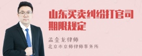 山东买卖纠纷打官司期限规定