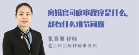 离婚官司庭审程序是什么，都有什么细节问题