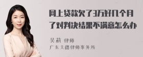 网上贷款欠了3万好几个月了对判决结果不满意怎么办