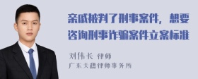 亲戚被判了刑事案件，想要咨询刑事诈骗案件立案标准