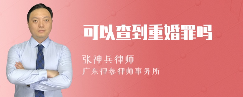 可以查到重婚罪吗