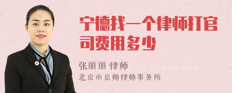 宁德找一个律师打官司费用多少