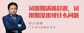 试用期满被辞退，试用期没出现什么问题