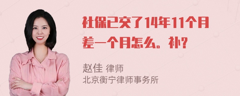 社保已交了14年11个月差一个月怎么。补？