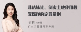 非法转让、倒卖土地使用权罪既遂的定罪量刑