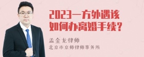 2023一方外遇该如何办离婚手续？