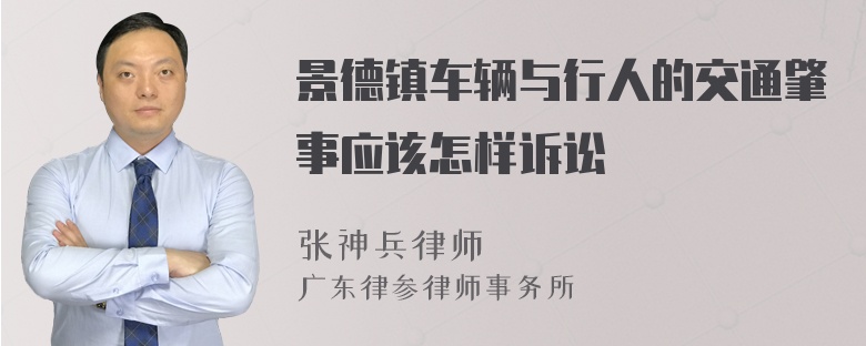 景德镇车辆与行人的交通肇事应该怎样诉讼