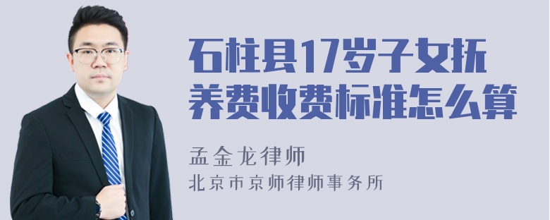 石柱县17岁子女抚养费收费标准怎么算