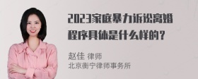 2023家庭暴力诉讼离婚程序具体是什么样的？