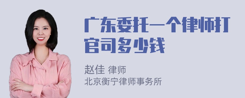 广东委托一个律师打官司多少钱