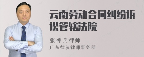 云南劳动合同纠纷诉讼管辖法院