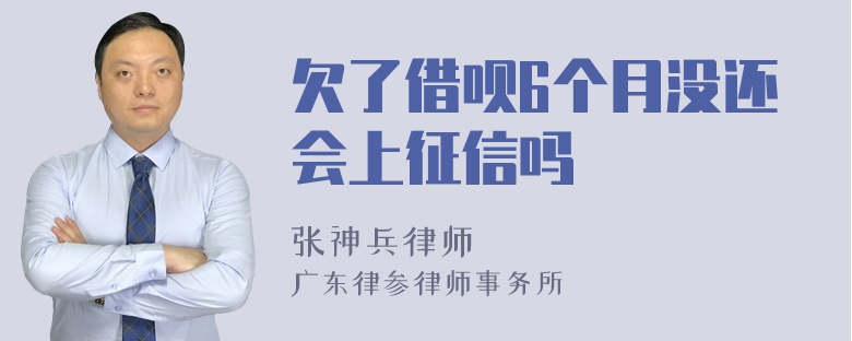 欠了借呗6个月没还会上征信吗