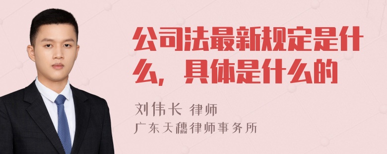 公司法最新规定是什么，具体是什么的