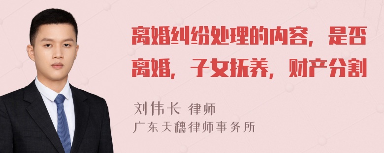 离婚纠纷处理的内容，是否离婚，子女抚养，财产分割