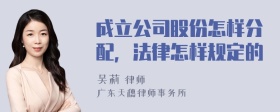 成立公司股份怎样分配，法律怎样规定的