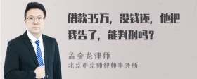 借款35万，没钱还，他把我告了，能判刑吗？