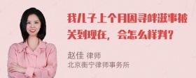 我儿子上个月因寻衅滋事被关到现在，会怎么样判？