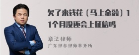 欠了来钱花（马上金融）11个月没还会上征信吗