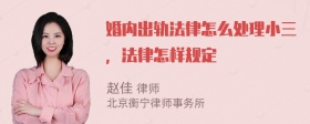 婚内出轨法律怎么处理小三，法律怎样规定