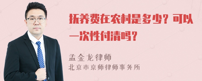 抚养费在农村是多少？可以一次性付清吗？