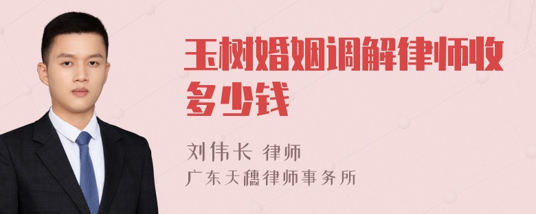 玉树婚姻调解律师收多少钱