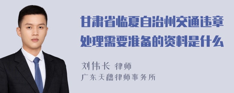 甘肃省临夏自治州交通违章处理需要准备的资料是什么