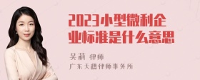 2023小型微利企业标准是什么意思