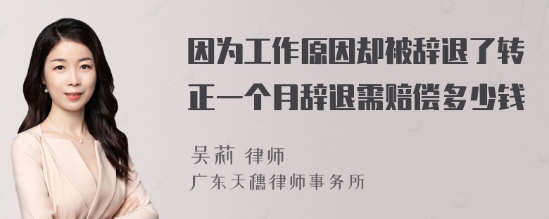 因为工作原因却被辞退了转正一个月辞退需赔偿多少钱