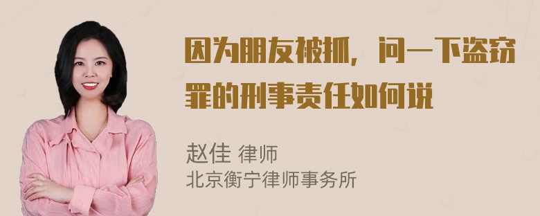 因为朋友被抓，问一下盗窃罪的刑事责任如何说