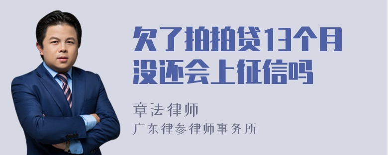 欠了拍拍贷13个月没还会上征信吗