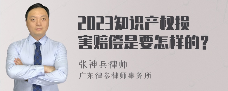 2023知识产权损害赔偿是要怎样的？