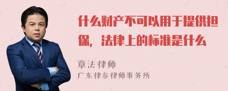 什么财产不可以用于提供担保，法律上的标准是什么