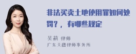 非法买卖土地使用罪如何处罚？，有哪些规定