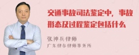 交通事故司法鉴定中，事故形态及过程鉴定包括什么