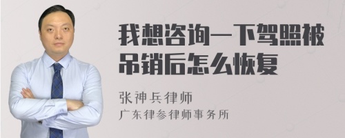 我想咨询一下驾照被吊销后怎么恢复