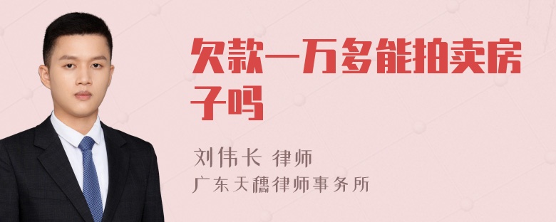 欠款一万多能拍卖房子吗