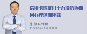 信用卡透支几十万没钱还如何办理延期还款