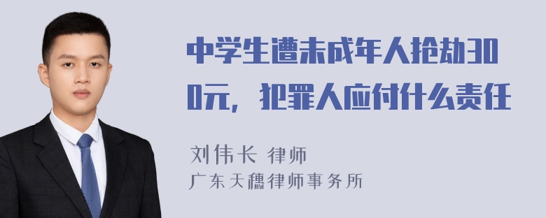 中学生遭未成年人抢劫300元，犯罪人应付什么责任