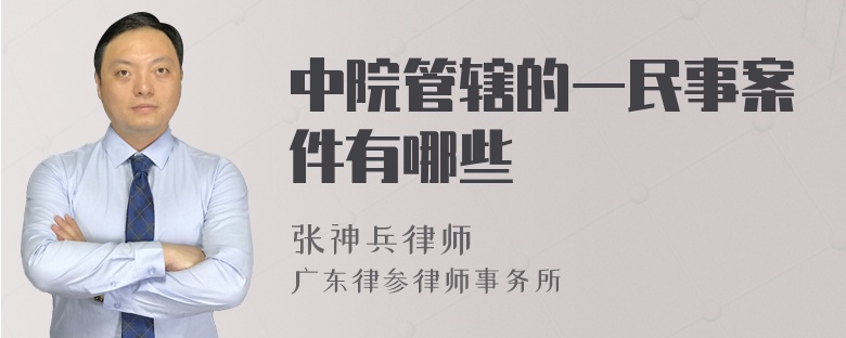 中院管辖的一民事案件有哪些